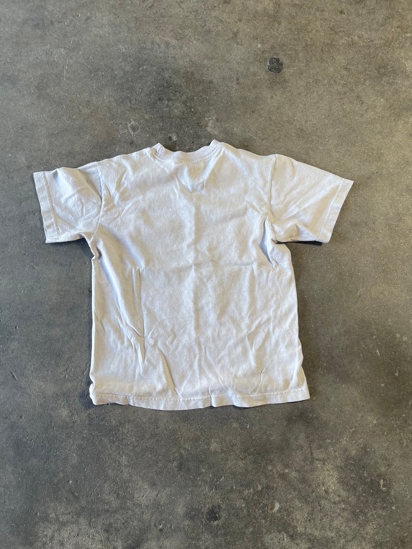 White Skull Wings T Extra Small y2k distressed